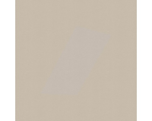 VELUX privacy rolgordijn, zandbeige, effen kleur, elektrisch, aluminium frame, RML C02 4155S