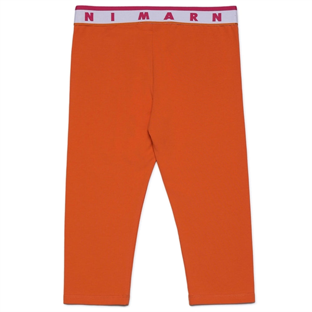 Nectarine Leggings - Marni → Luksusbaby.dk