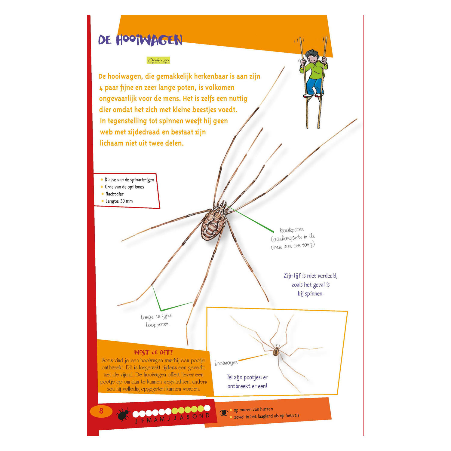 De leukste insectengids voor kids