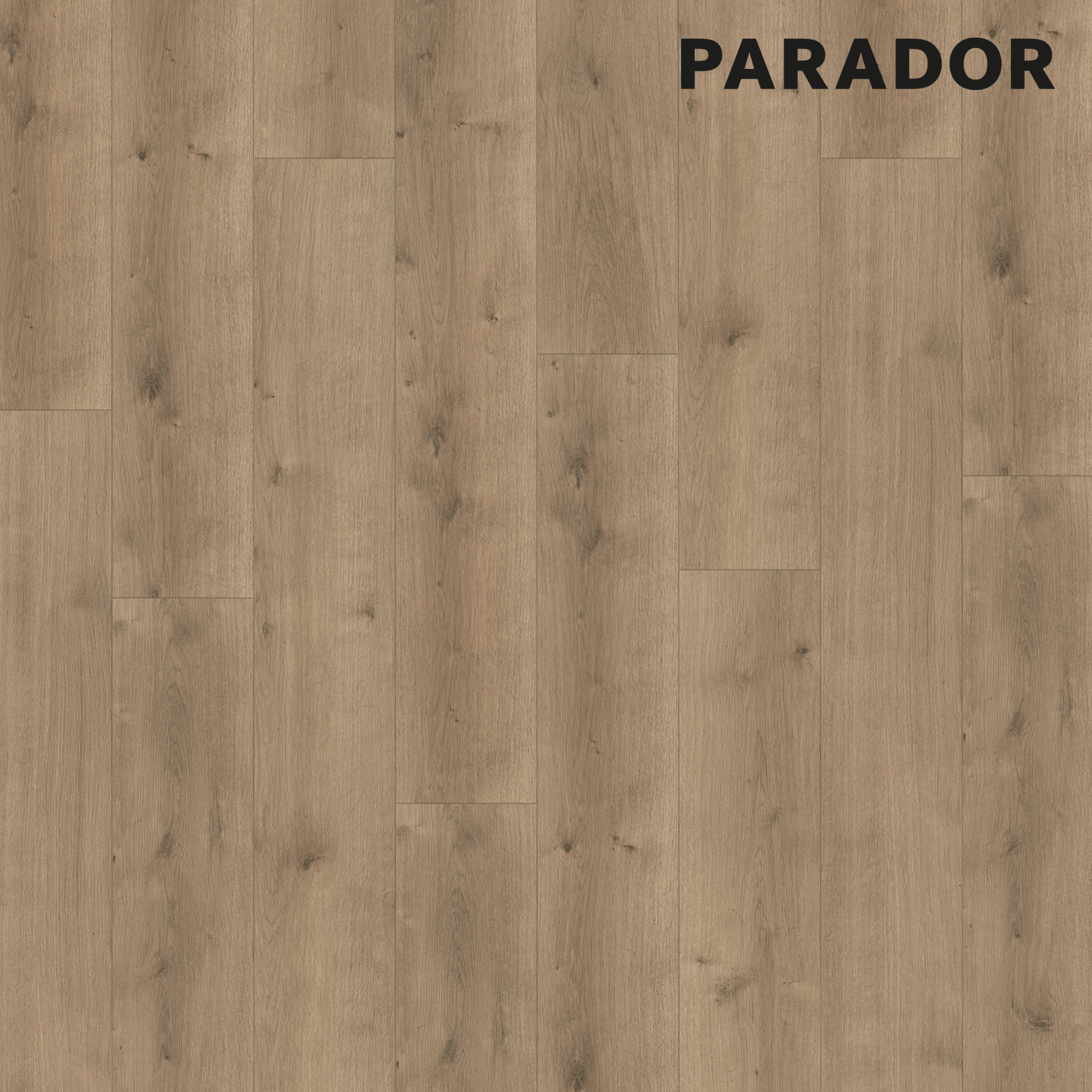 PARADOR Designboden MODULAR ONE - Eiche Pure perlgrau - 8 mm