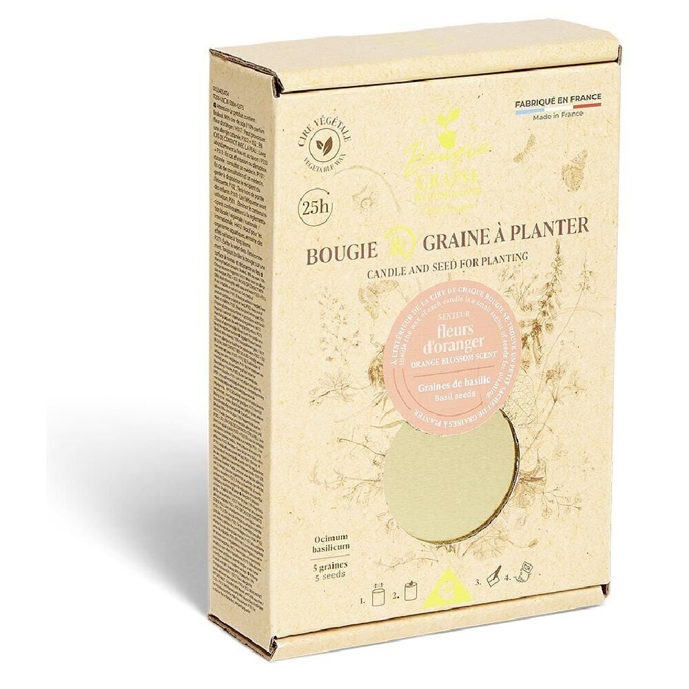 Bougie avec graine basilic à planter senteur fleur d'oranger 25H