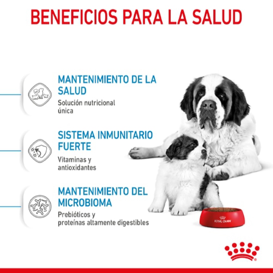 Ração Royal Canin Starter para Filhotes de Cães Gigantes