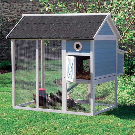 Poulailler P'tit Chou bois bleu et blanc 3 poules - 150x121,6x140 cm