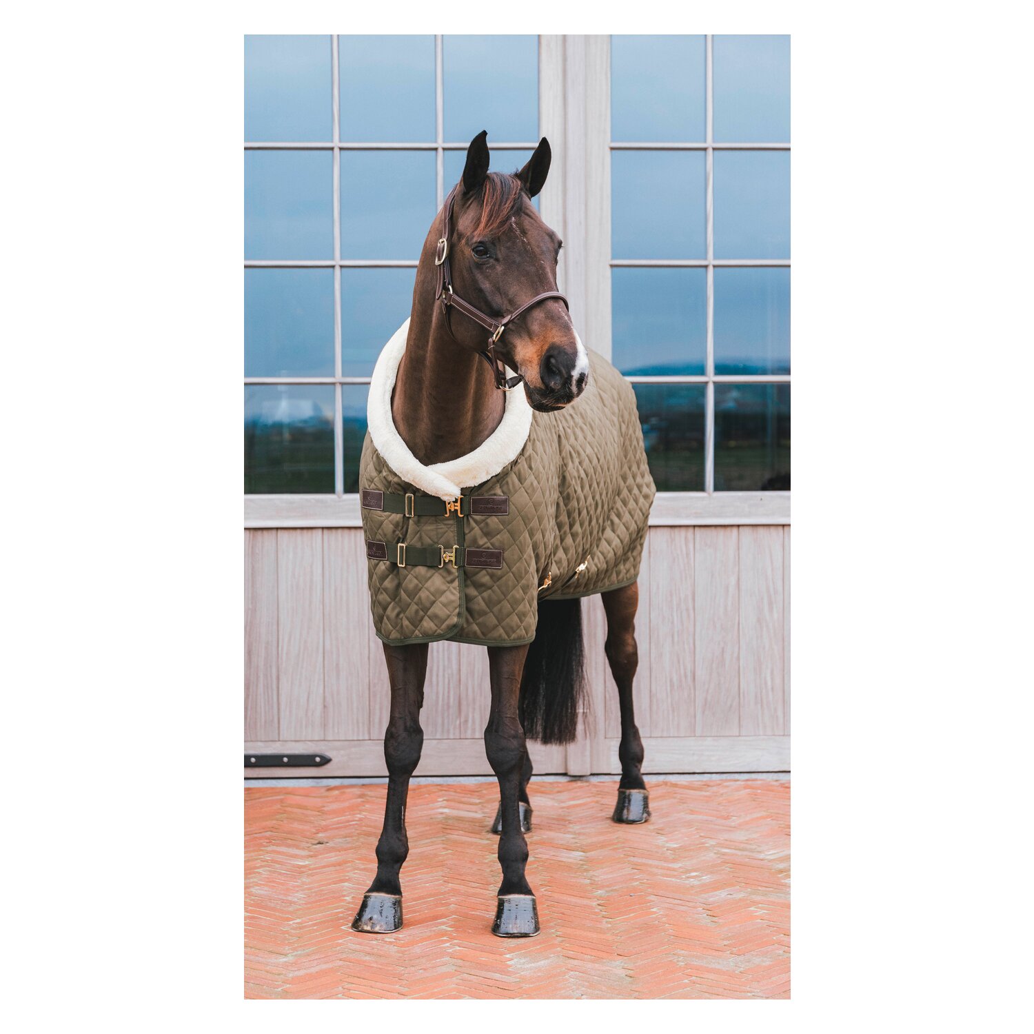 KENTUCKY Show Rug - khaki