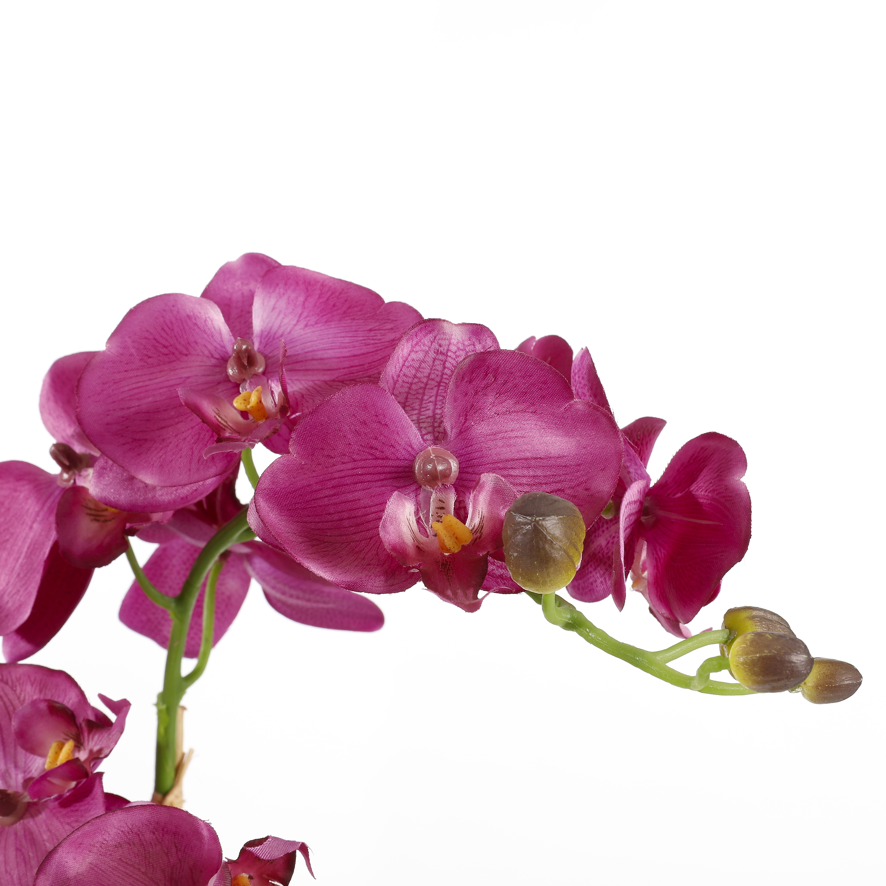 Mica decorations plante artificielle phalaenopsis - 38x38x66 cm - pe - blanc