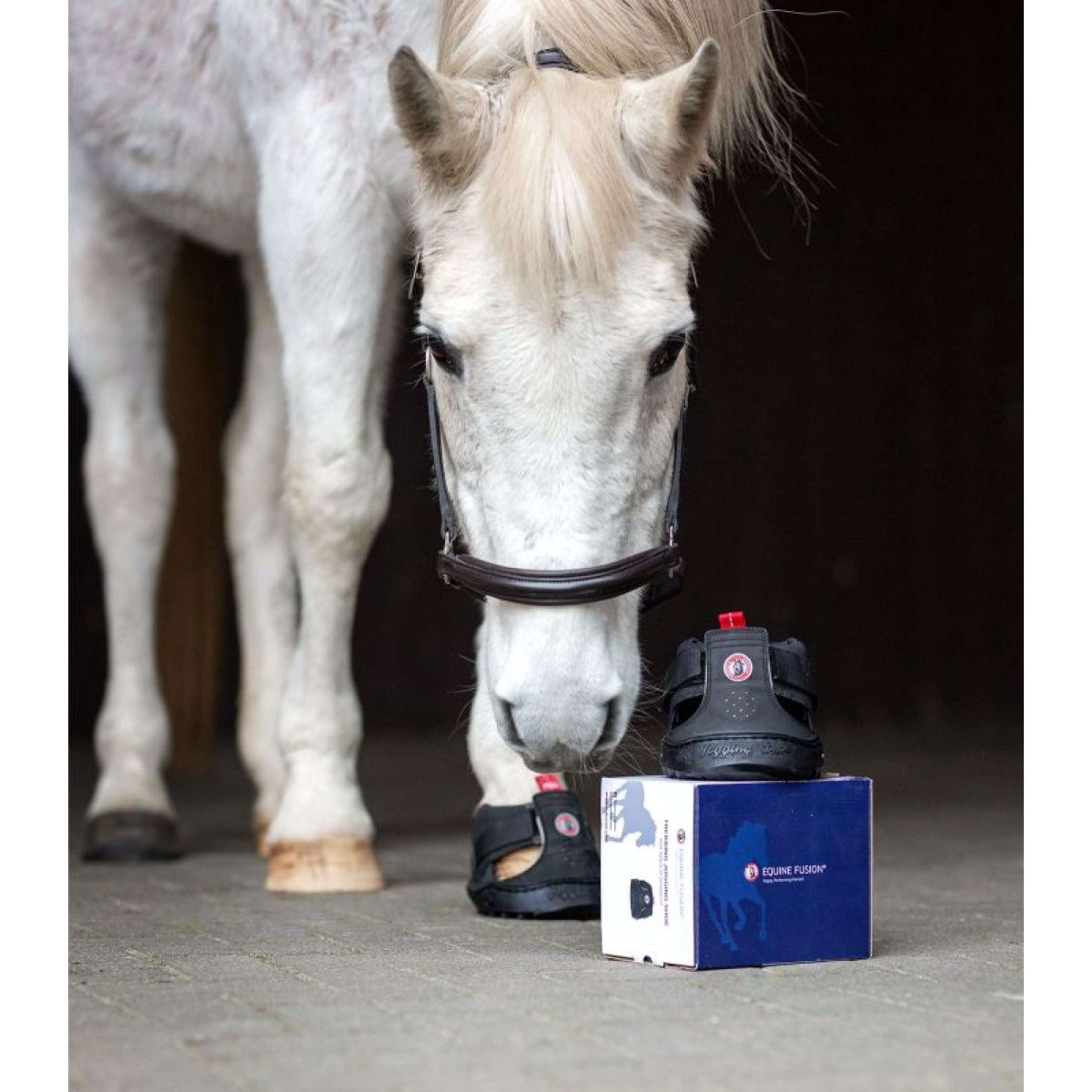 Equine Fusion Hoefschoen Trekking Slim Zwart