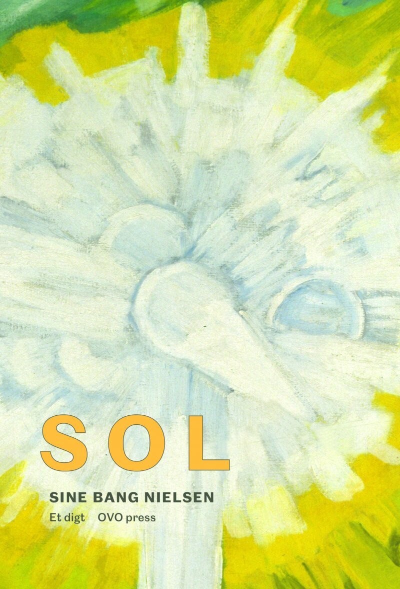 Sol - Sine Bang Nielsen - Bog