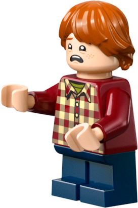 LEGO - Harry Potter TM - Vindelhuset (76437)