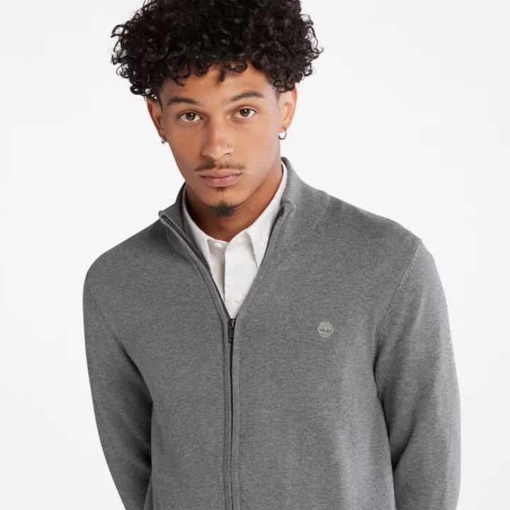 Pull zippé Williams River pour homme en gris