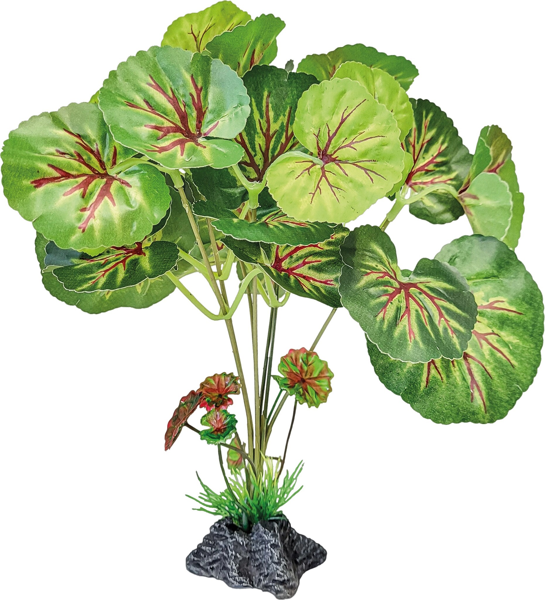 Repto Terrarium Kunstplant Rond Blad