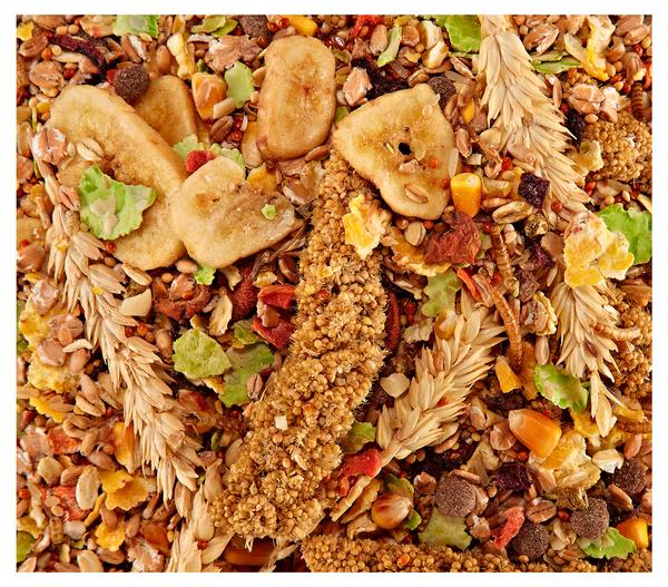 Dehner Best Nature Rennmausfutter, 500 g