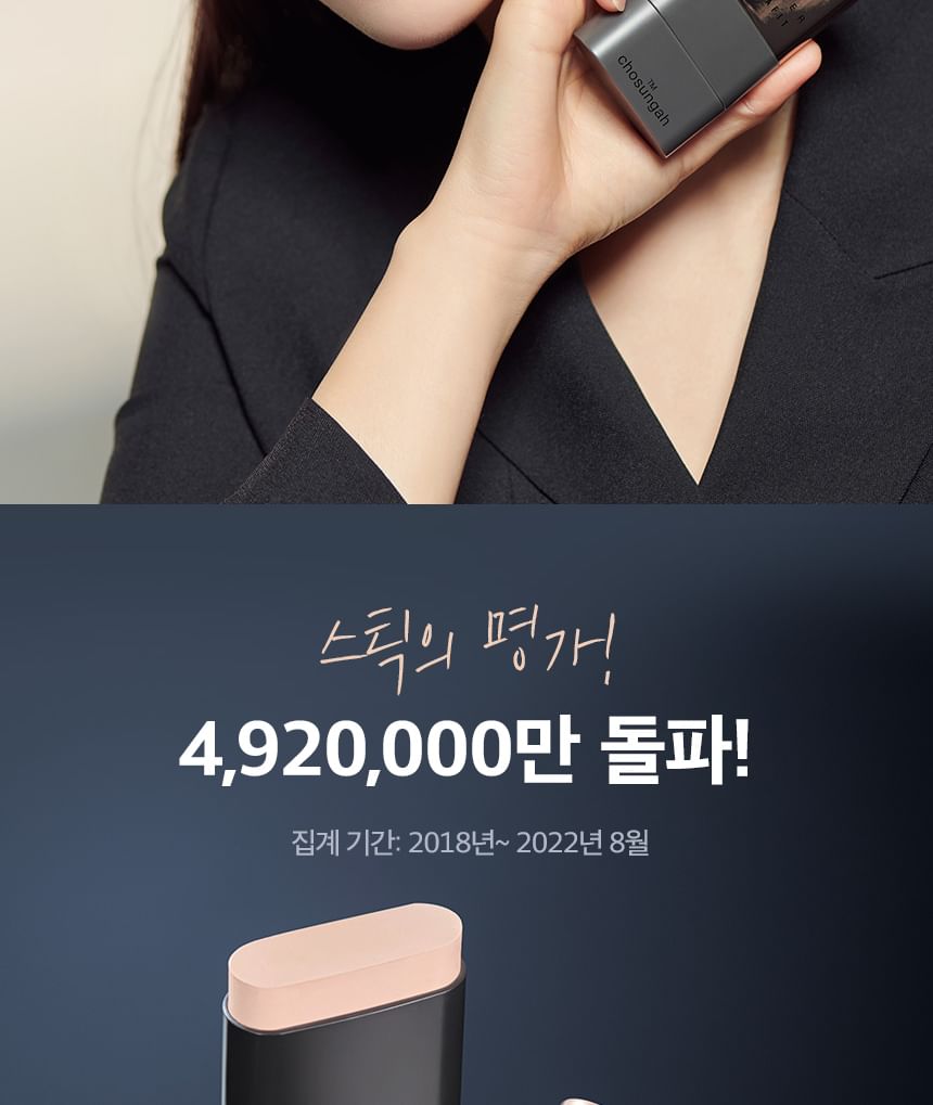 CHOSUNGAH BEAUTY - CHOSUNGAH TM Mega Fit Stick Foundation Master - 2 kleuren