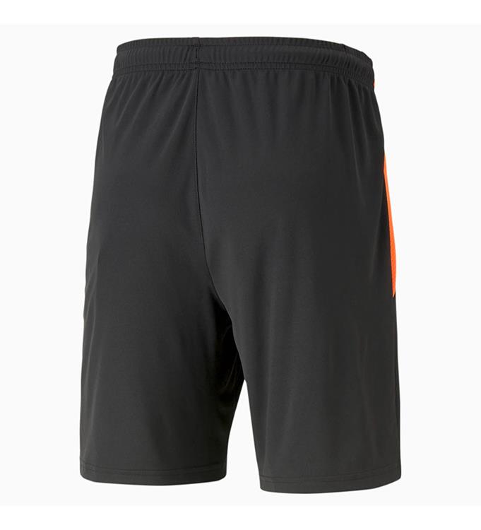 PUMA Men Teamliga Training Shorts 2