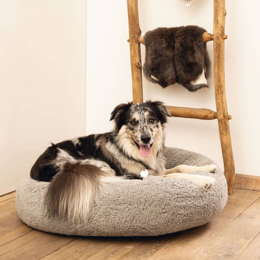 Cama para cachorro