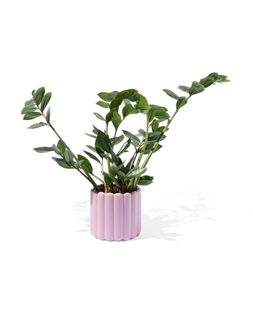 pot de fleurs Ø 12 x 13 cm céramique nervuré lilas