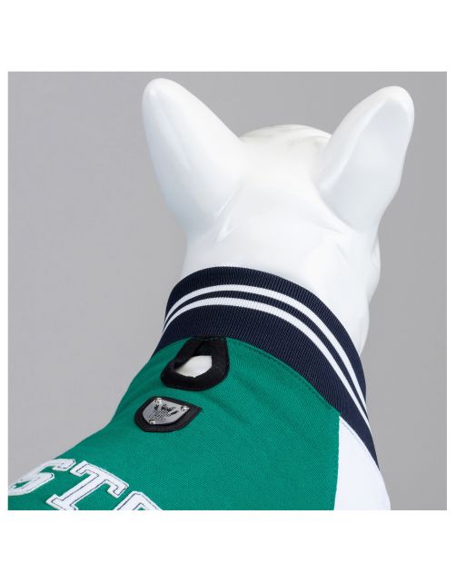 Lindo Hondenjas Boston - Hondenkleding - Groen 3