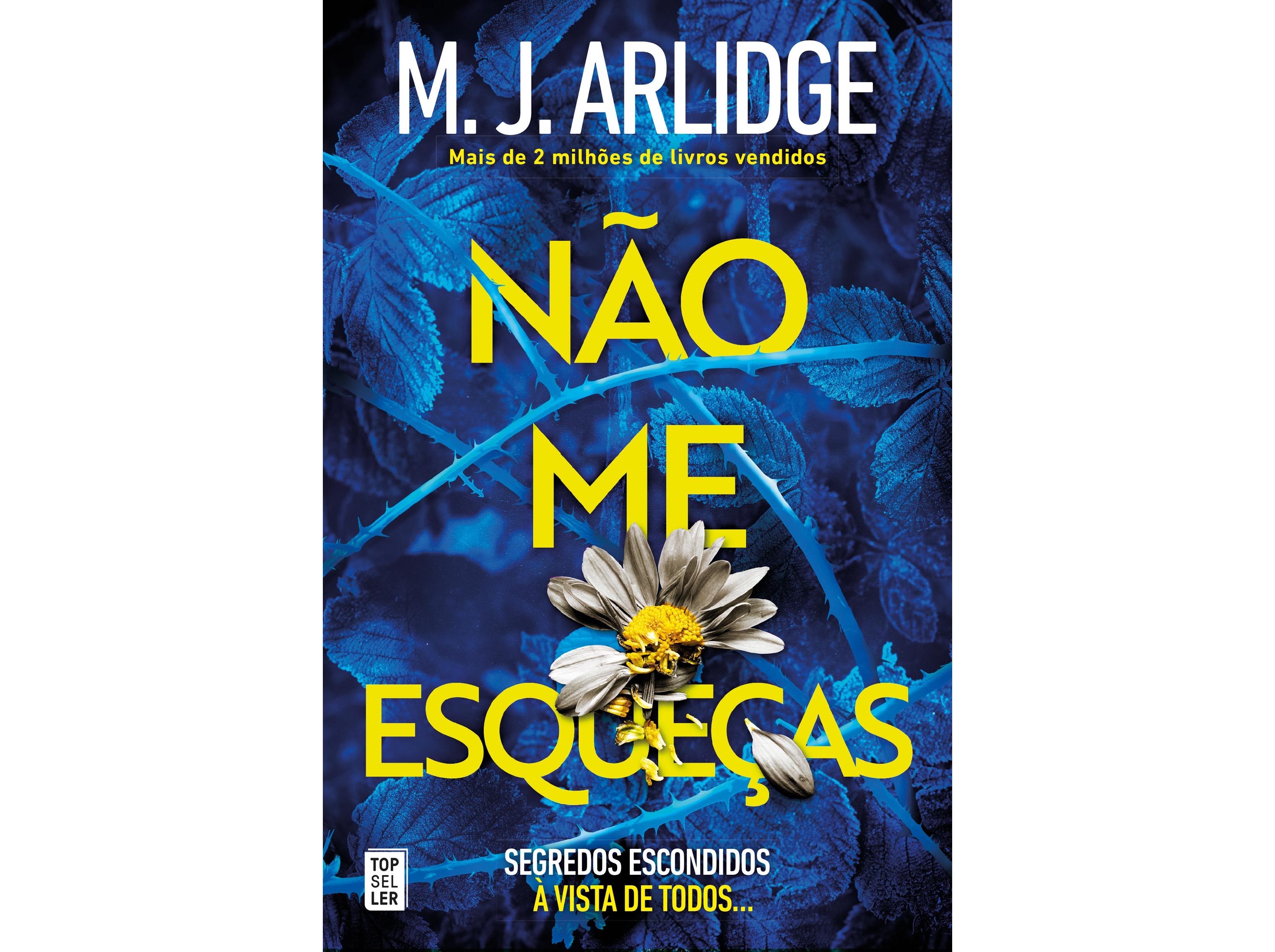 LIVRO NÃO ME ESQUEÇAS - SEGREDOS ESCONDIDOS DE M.J. ARLIDGE