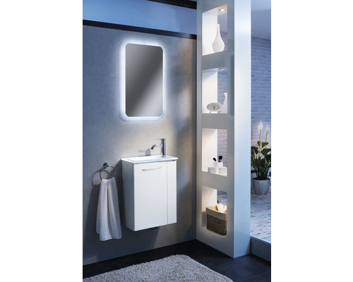 Meubel FACKELMANN Kleine Badkamercollectie BxHxD 44 x 60 cm x 24,3 cm Frontkleur wit hoogglans 86015