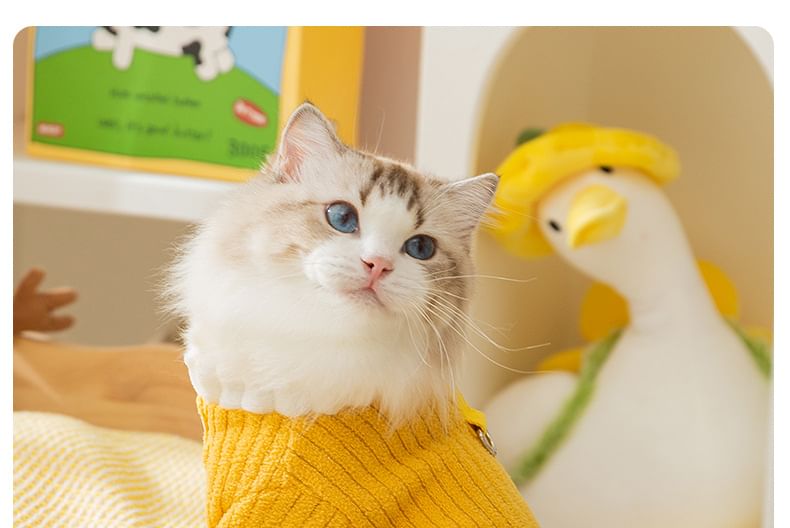 Cissilli - Letterapplicatie Coral Fleece Pet Overall