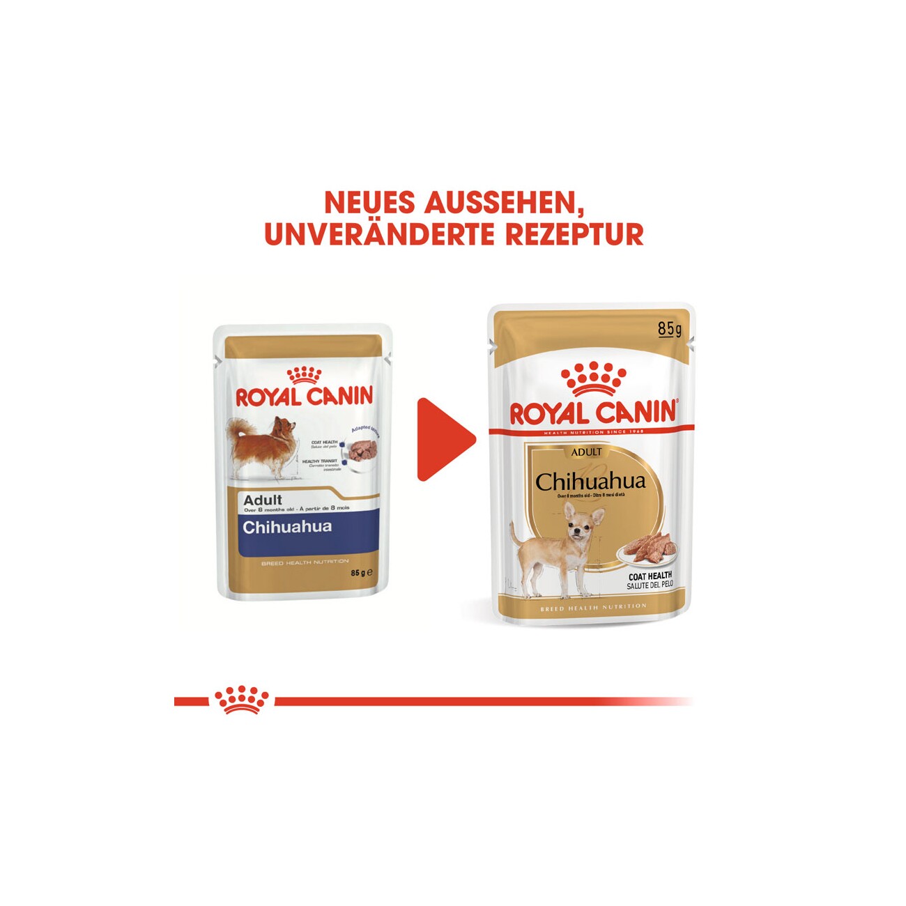 ROYAL CANIN Chihuahua Adult Mousse 12x85 g