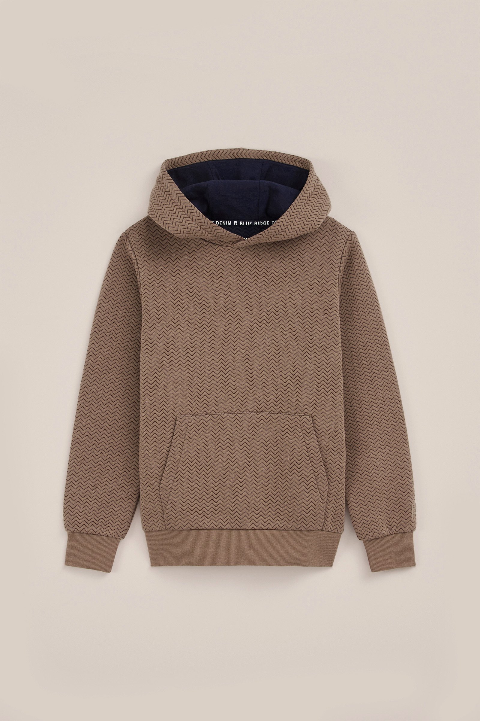 Jongens hoodie met dessin Blue Ridge Lichtbruin
