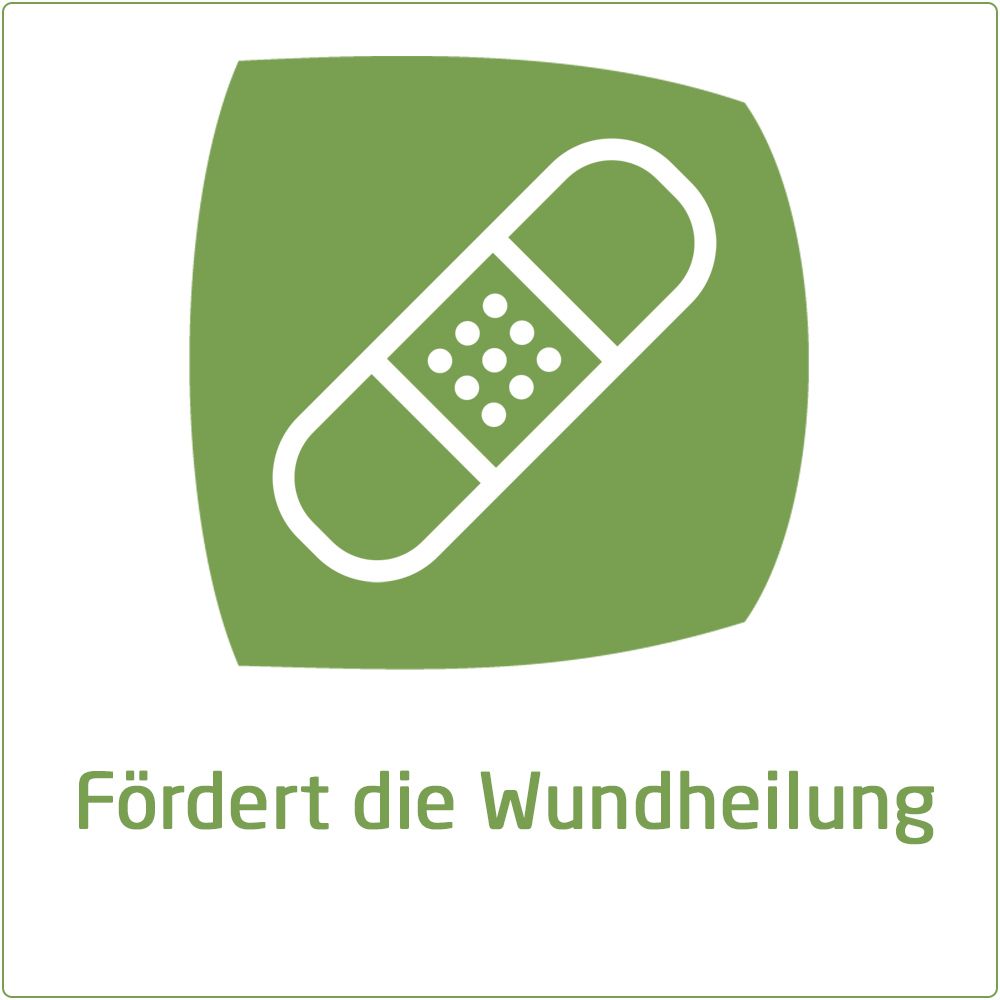 Calendula Wundsalbe zur wirksamen Behandlung von Schürfwunden und kleineren Hautverletzungen