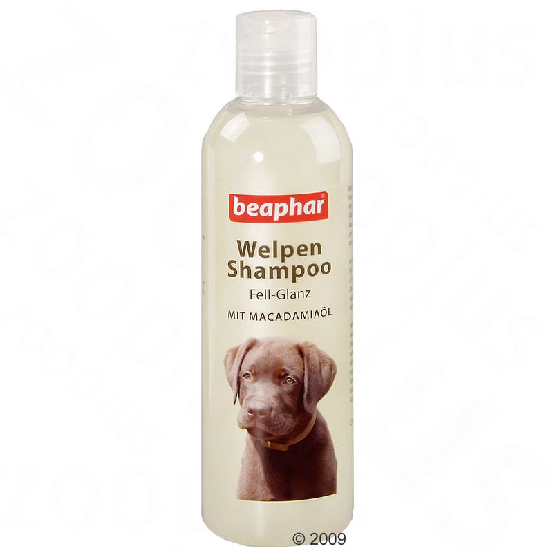 Shampooing beaphar chiot