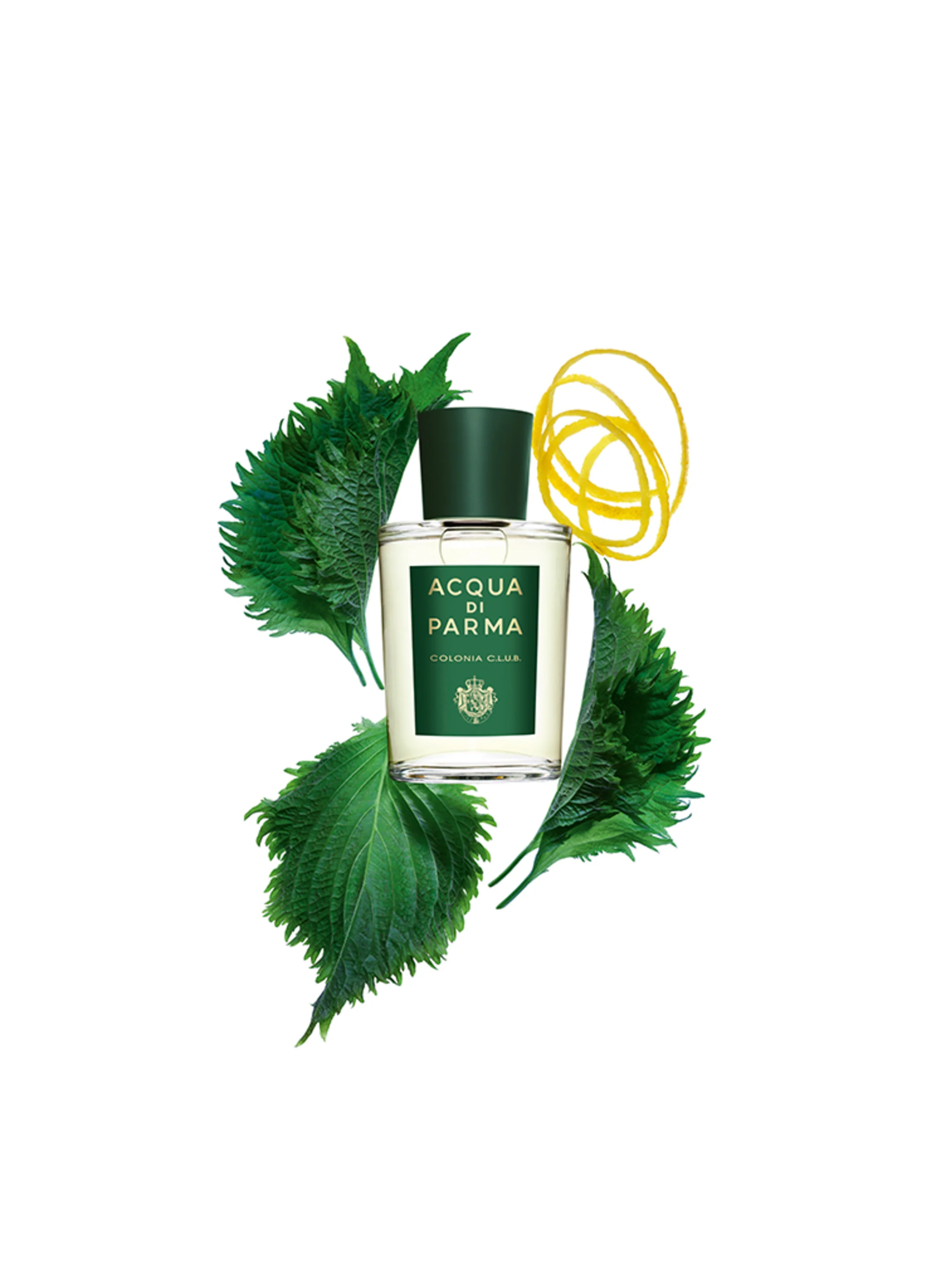 ACQUA DI PARMA COLONIA C.L.U.B.