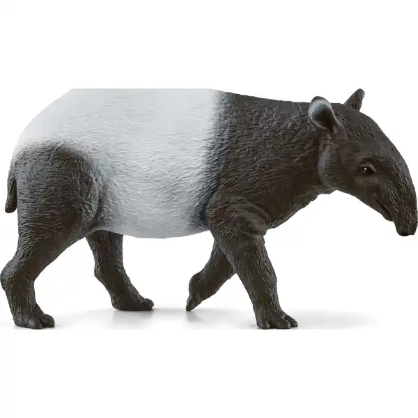 14850 Tapir