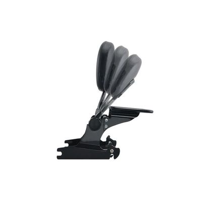 Sissy bar CustomAcces LUXUS SPORTSTER - Noir