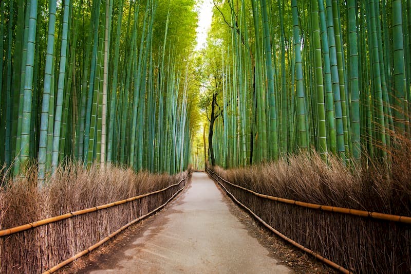 Cityhoppen in Japan