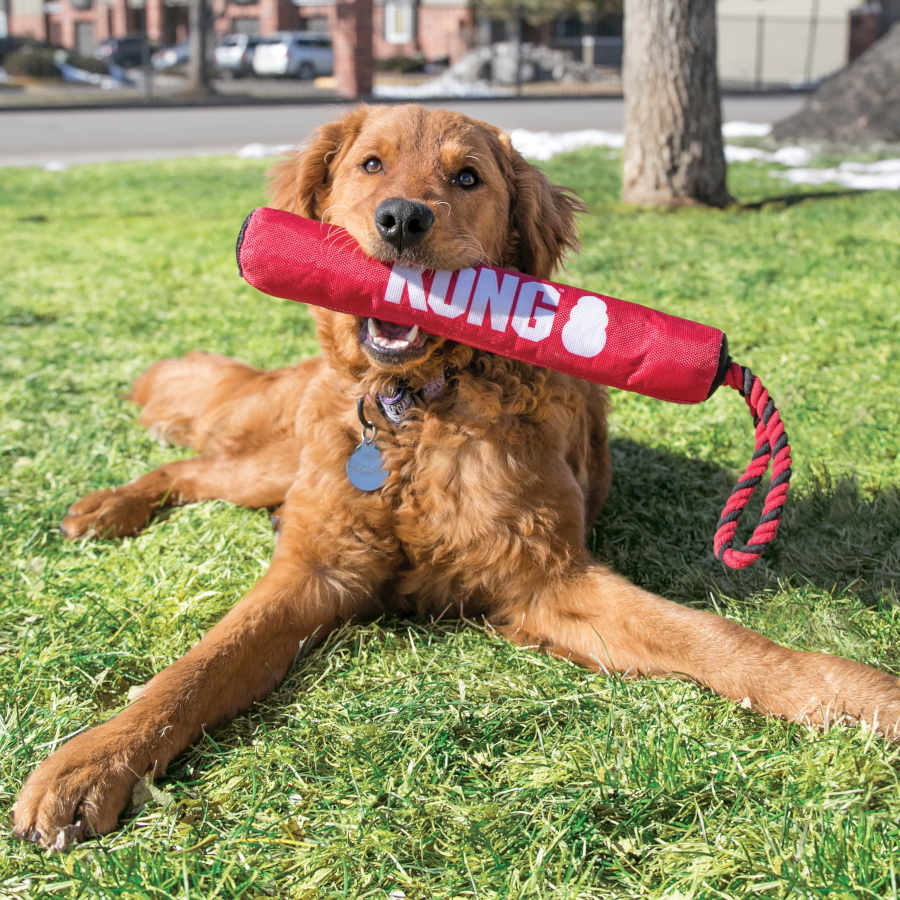 Varinha Kong Signature para Cães com Corda