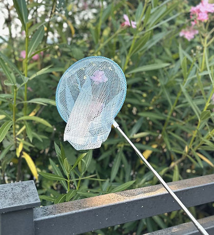 Follow the Duck Net - Telescopic Net - Dusty Blue