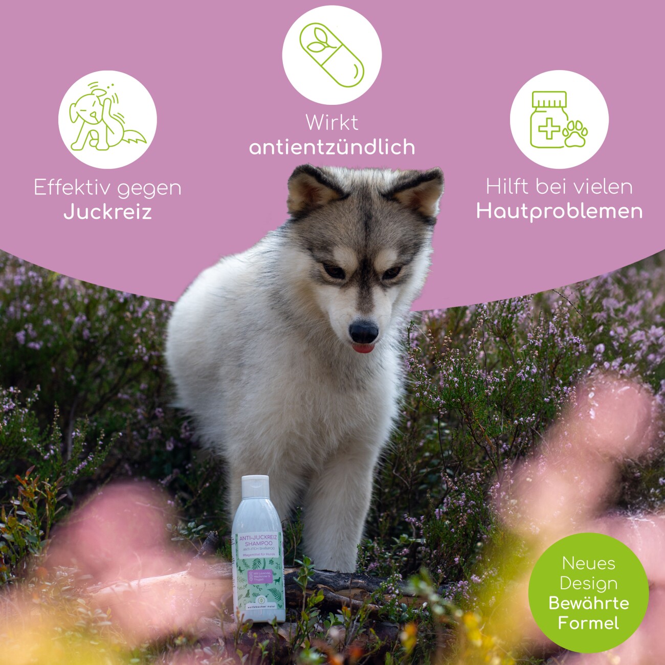 Wolfsbacher Natur Shampoo Anti Juckreiz