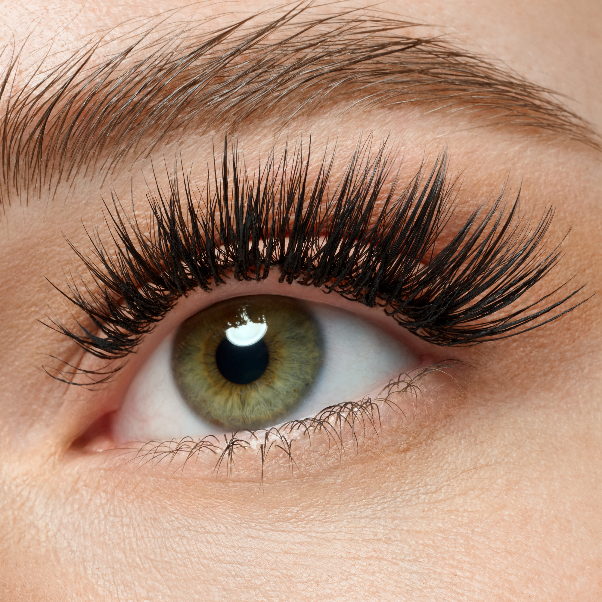 what the FAKE! false lashes