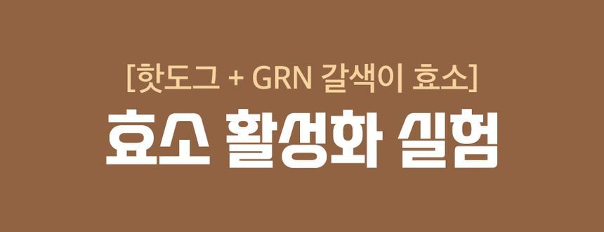 grn+ - Bruin Enzym