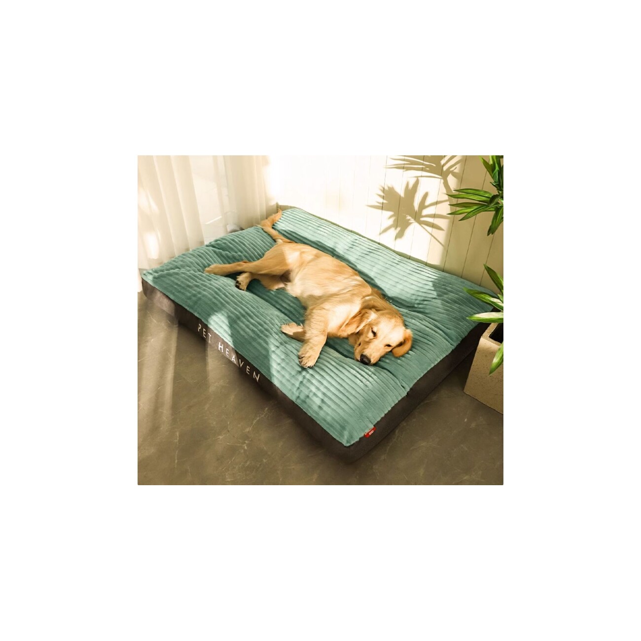 Petsation Orthopädisches Hundebett grau S