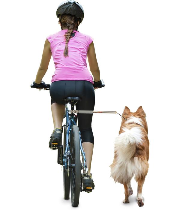 dobar® petlife Fahrradleine Walky Dog Plus