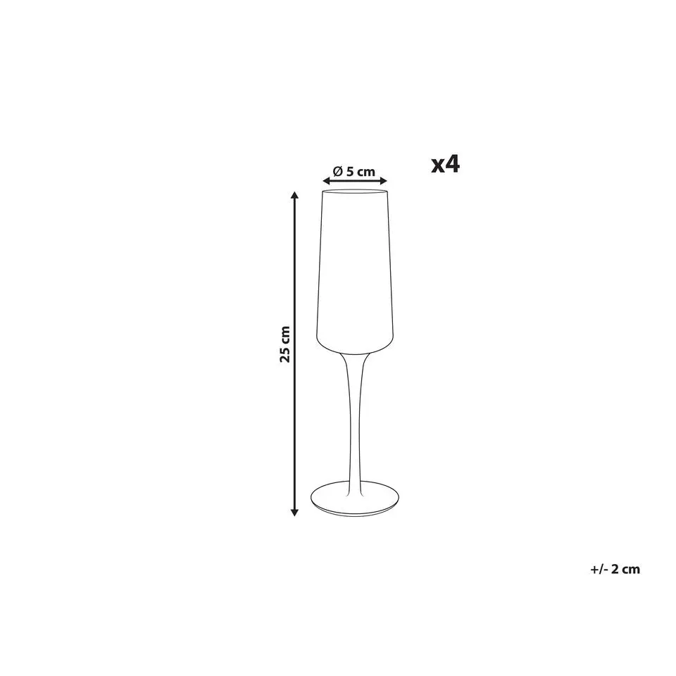 QUARTZ - Champagne glazen set van 4 - Grijs - Glas
