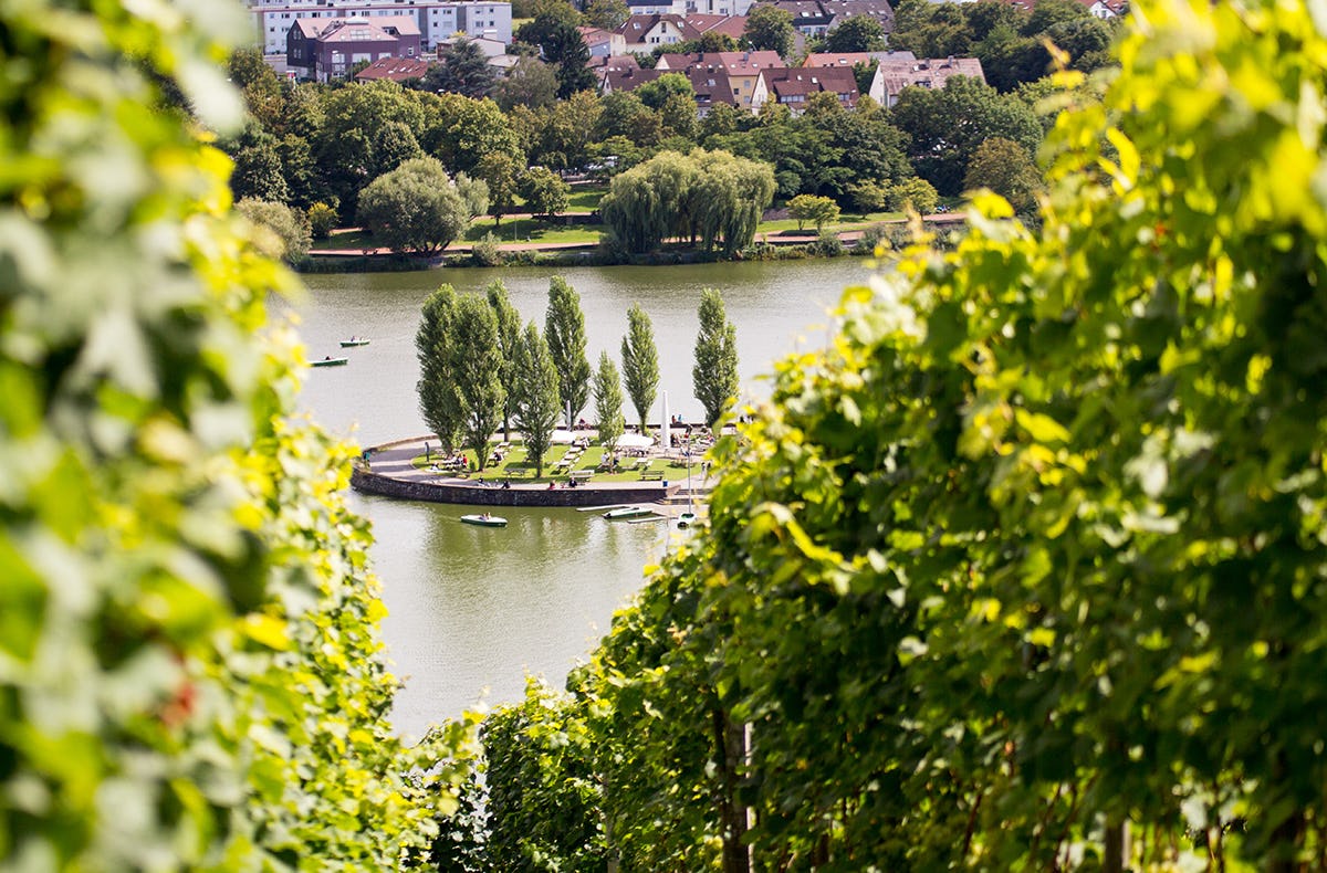 Naturerlebnistag Stuttgart