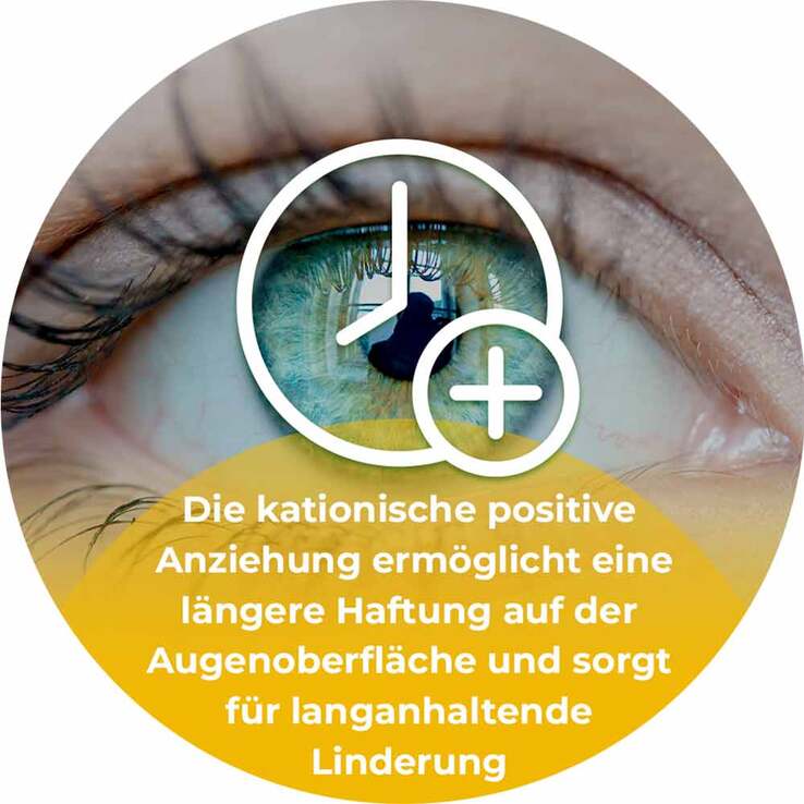 CATIONORM® MD sine Augentropfen, 10 ml