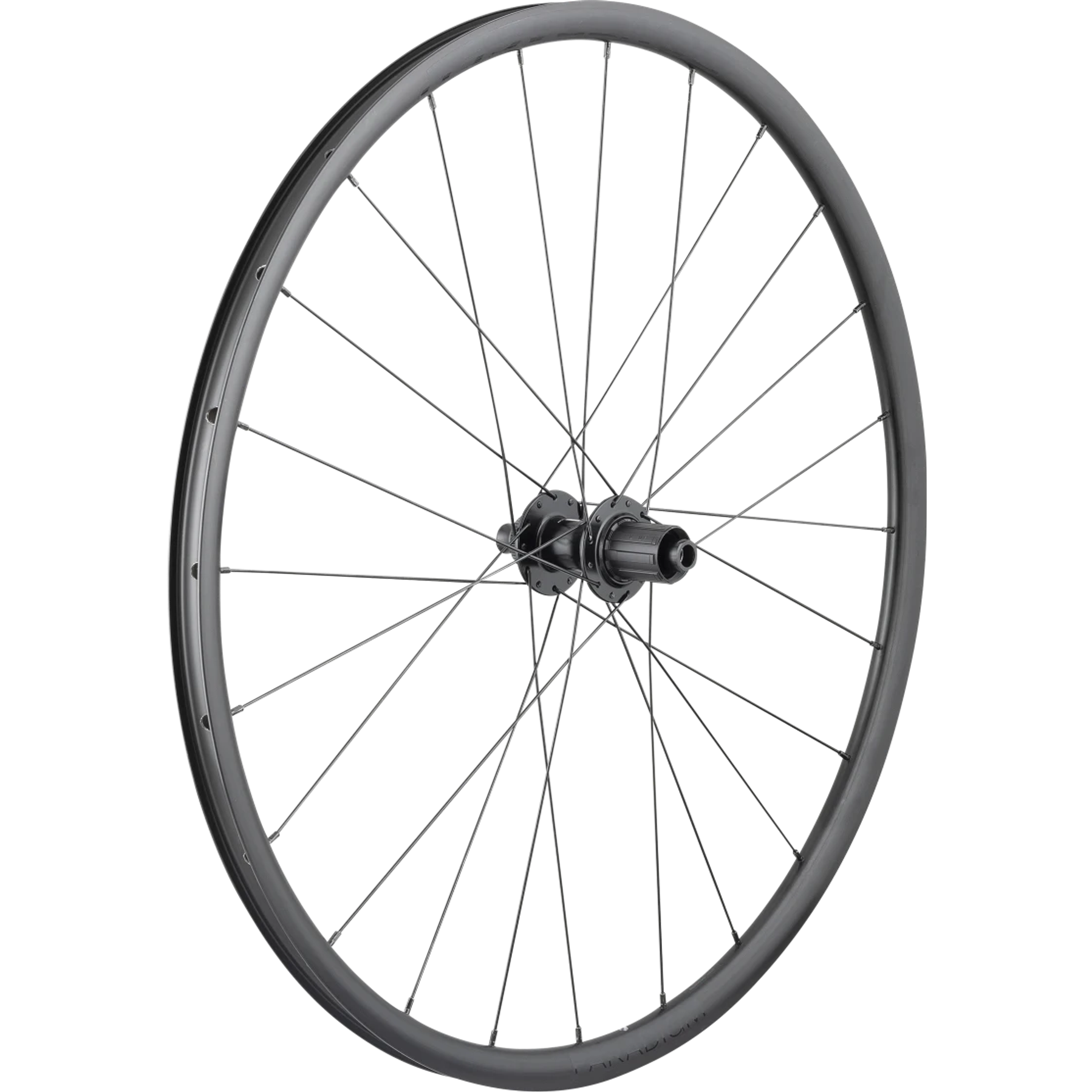 Bontrager Paradigm SL Disc Racefiets Achterwiel