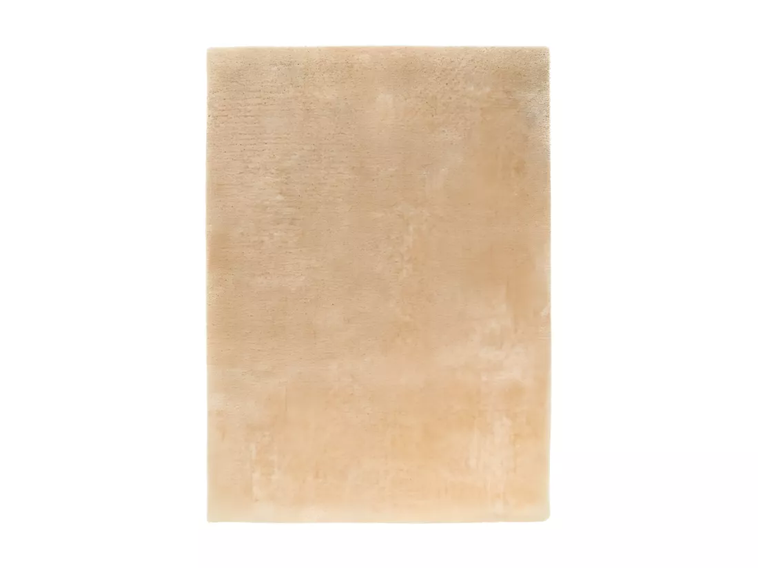Tapis 170x120cm, design G008R coloris beige - Confort et élégance pour votre intérieur
