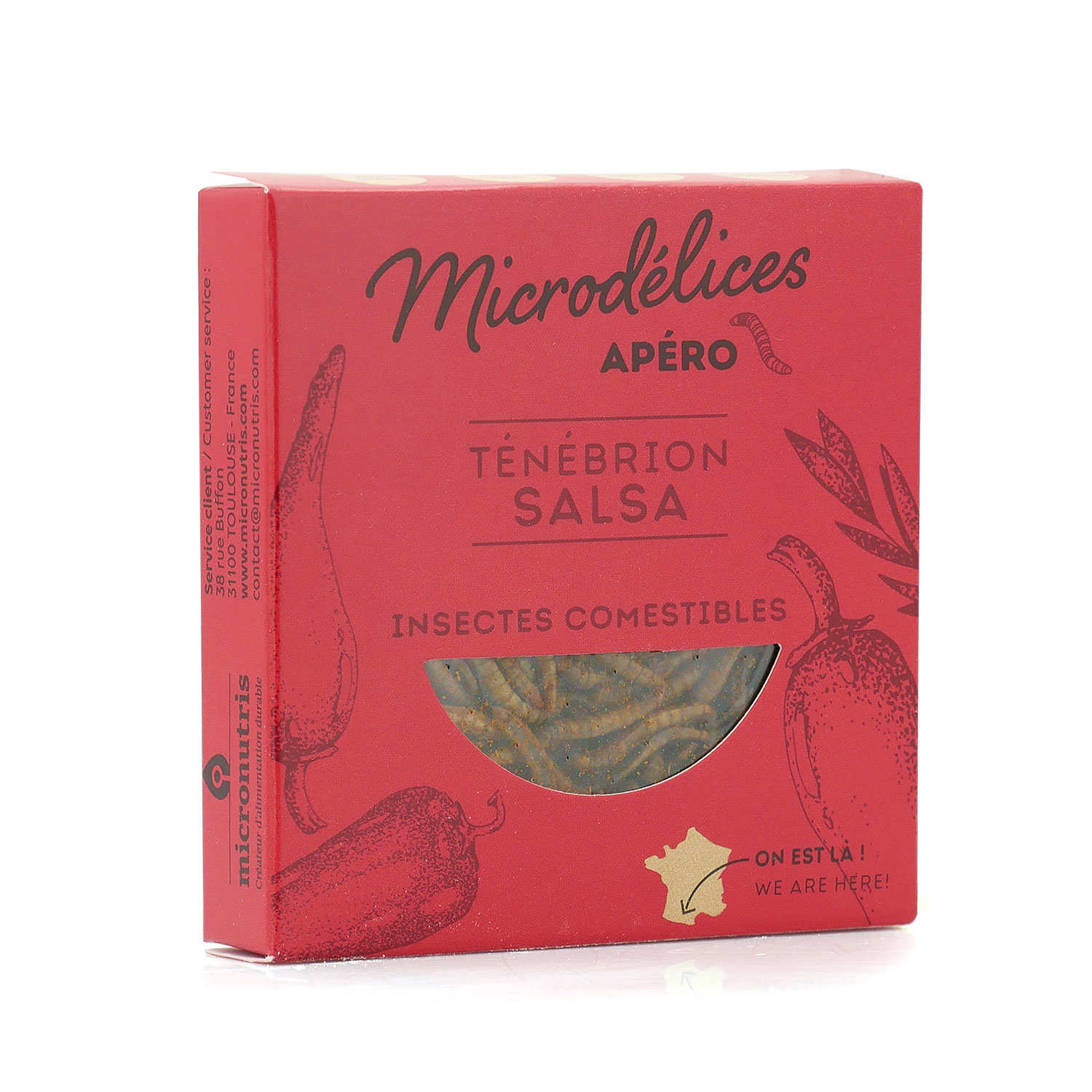 Ténébrions saveur salsa