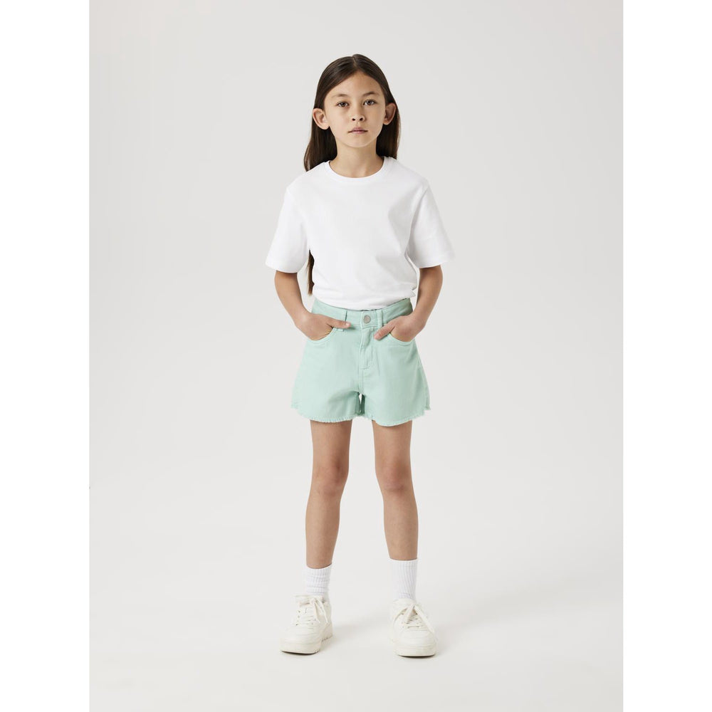 Køb Name It Blue Light Nkfrose Mom Twi Shorts 3248-Tw Tb Noos