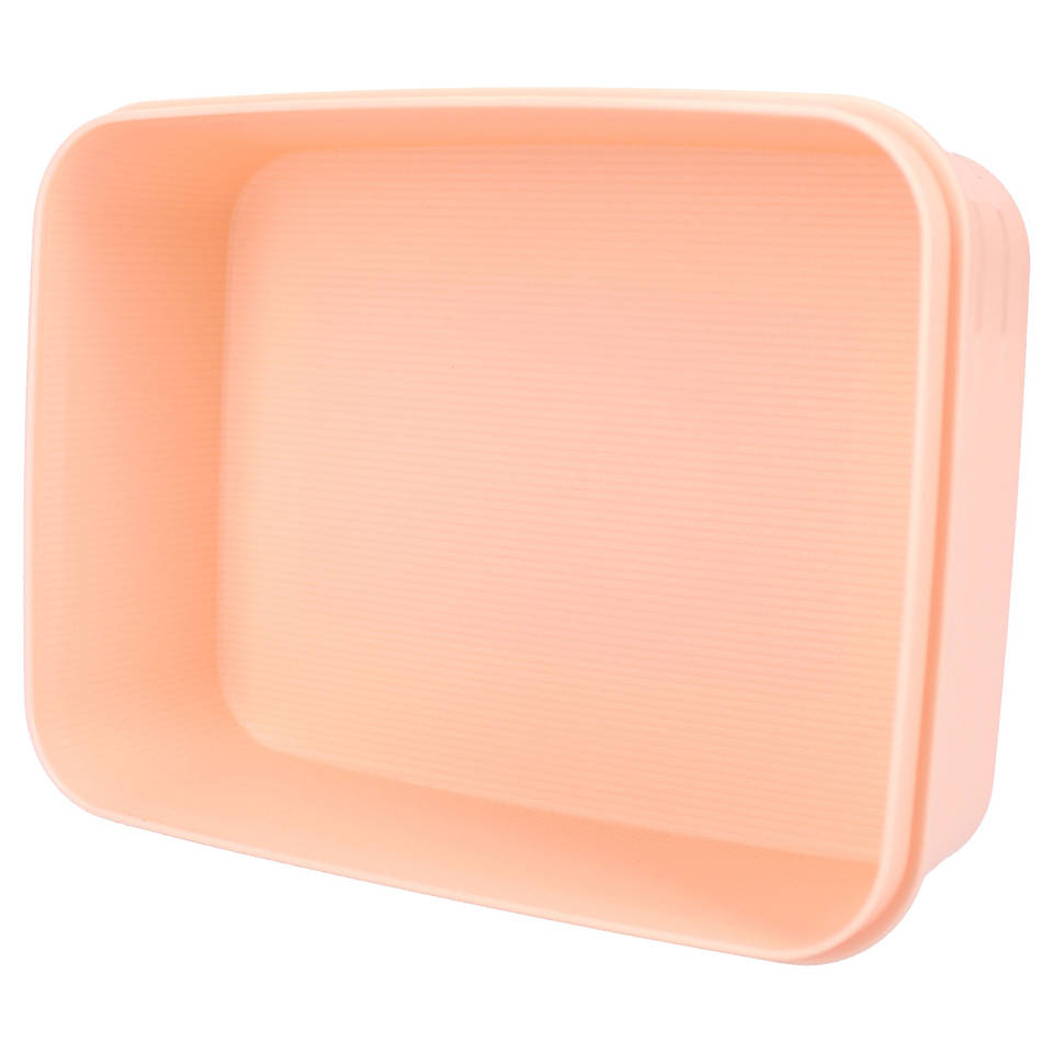 Minnie Mouse lunchbox