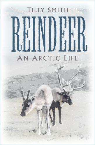 Reindeer: An Arctic Life (Hardback)