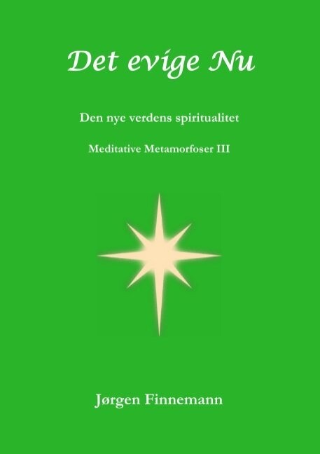 Det Evige Nu - Jørgen Finnemann - Bog