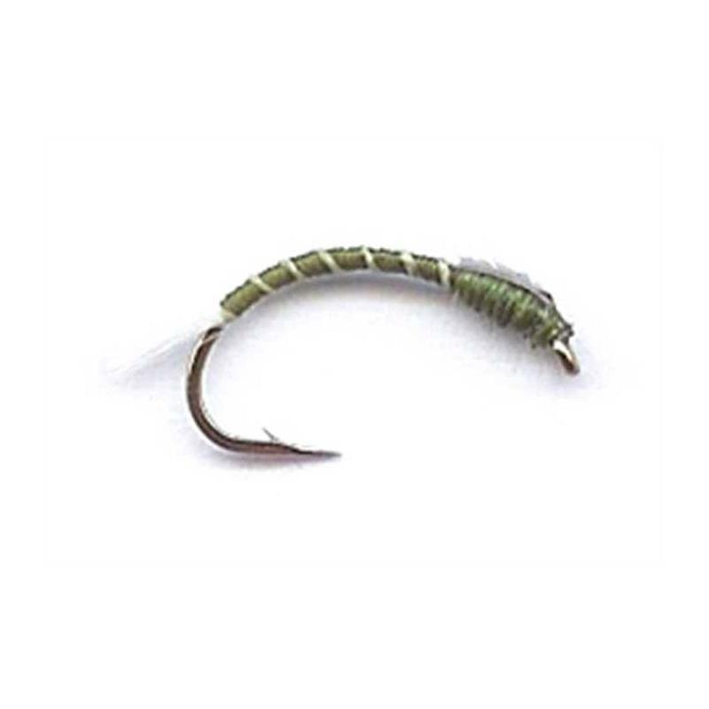 Mouche Tof Chiros Chironome - Olive