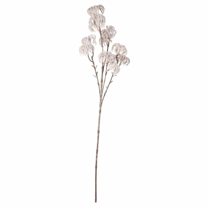 Waldrebenzweig - beeist - ca. 64 cm